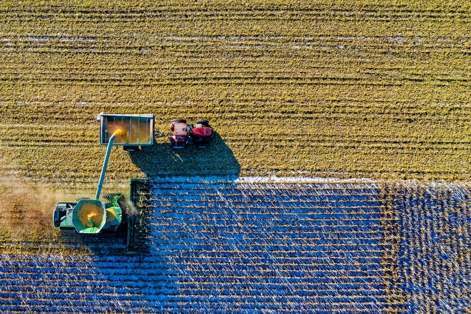 Aerial view of large-scale open field crop rows, representative of conventional field agriculture