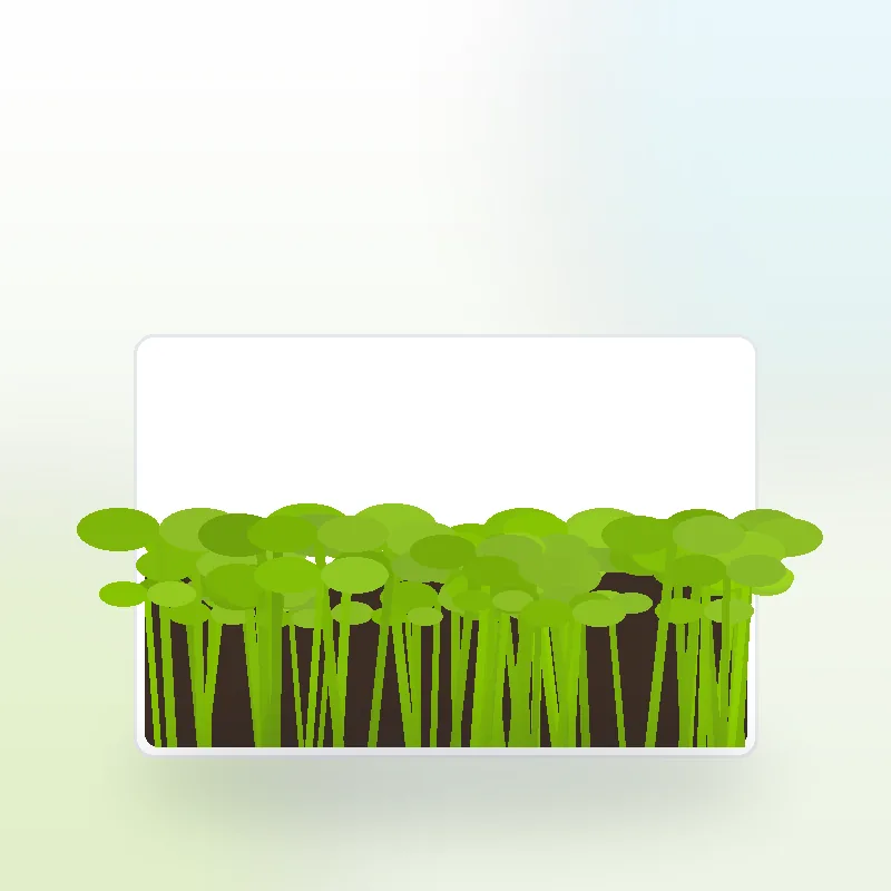 Microgreens grow kit from Metro Farms: a dense tray of fresh pea and sunflower microgreens ready to cut